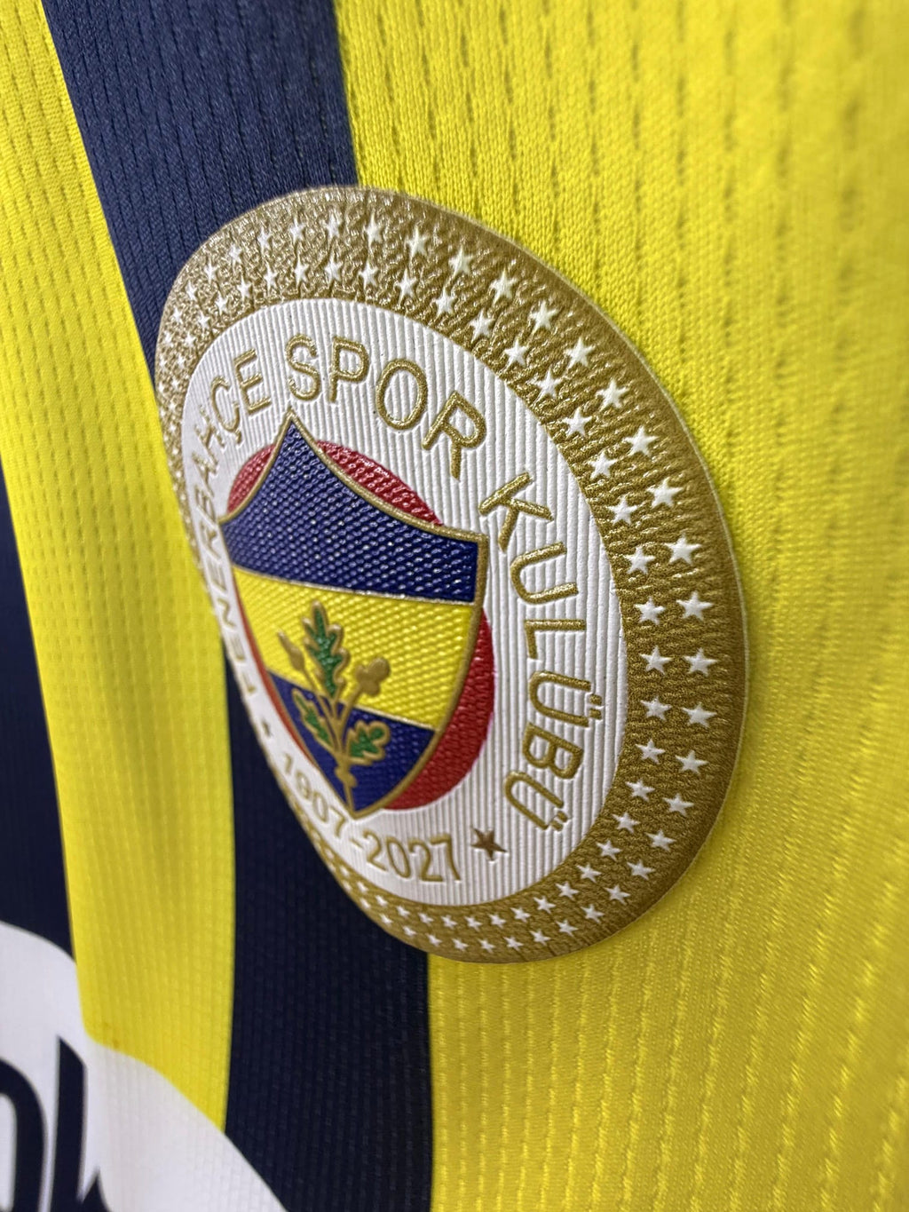 Fenerbahçe 2026-2027 Yeni Sezon Premium Çubuklu Forma (